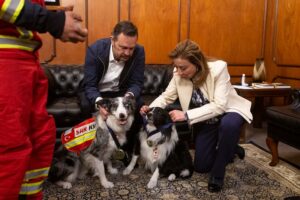 Reconoce gobernador a perritos rescatistas que apoyaron durante el sismo en Turquía