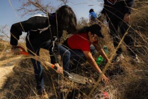 Se llevó a cabo una jornada de reforestación en el parque Joya-La Barreta