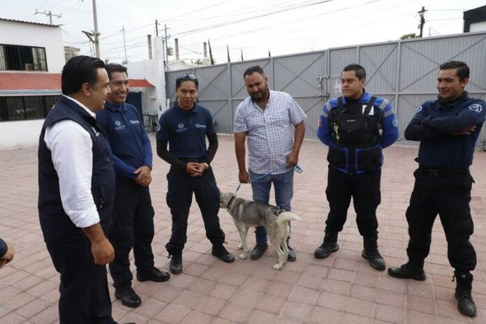 Municipio de Querétaro es pionero en Atención y Cuidado Animal, asegura Luis Nava