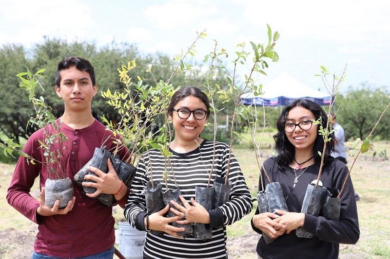 SEDESOQ llevó Jornada de Reforestación a la UTEQ