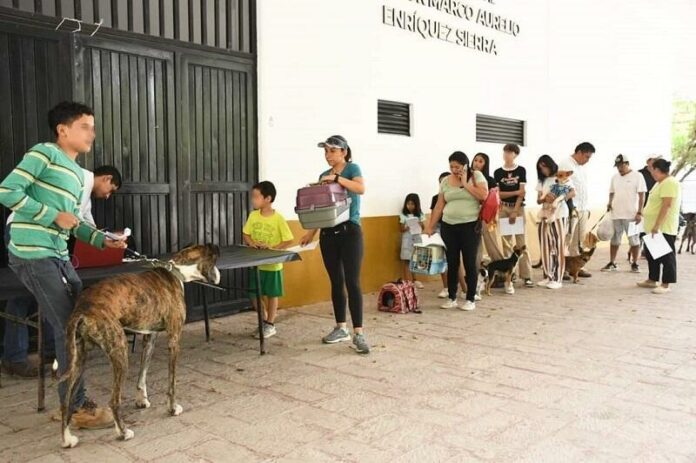 SESA lleva Jornada de Esterilización para perros y gatos a Jalpan de Serra