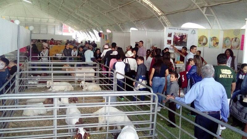 Fechas confirmadas para la Feria Internacional Ganadera de Querétaro 2023