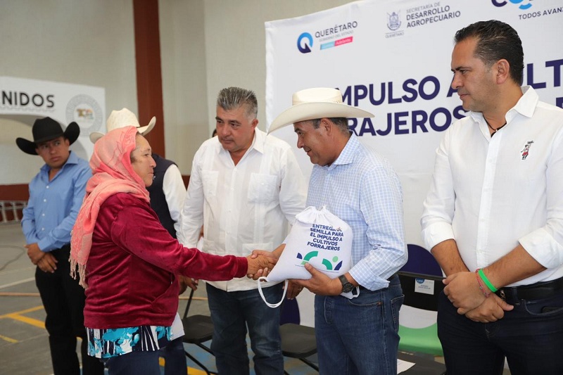 SEDEA concluye programa emergente de semilla para forraje en el estado de Querétaro