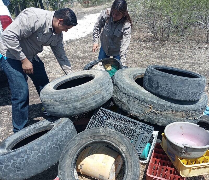 Estrategias efectivas en Querétaro para la prevención del Dengue