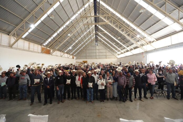 SEDEA entregó 414 toneladas de maíz a productores en El Marqués por sequía