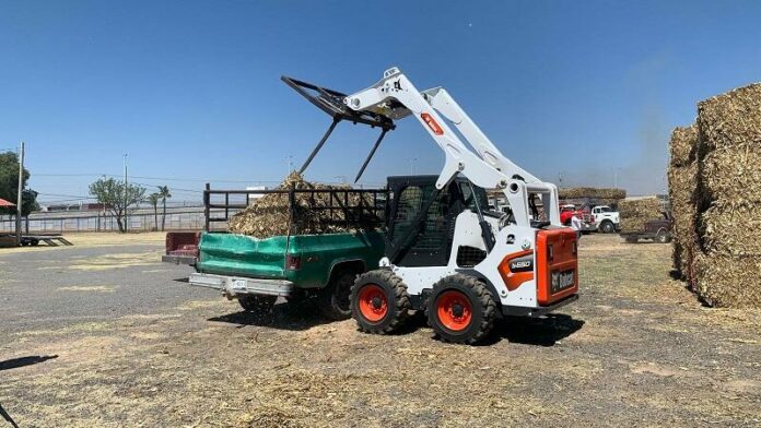 SEDEA y San Juan del Río unen esfuerzos para entregar 242 toneladas de forraje a productores