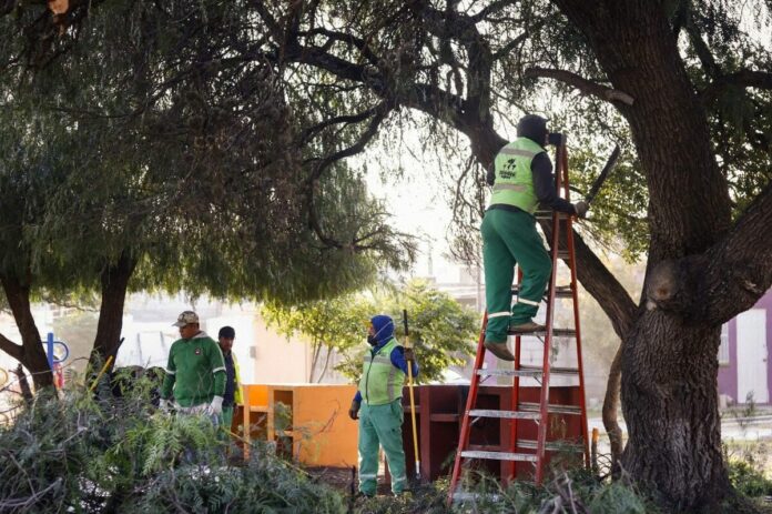 Presidente Roberto Cabrera supervisa labores de mantenimiento en Haciendas San Juan y Valle Dorado