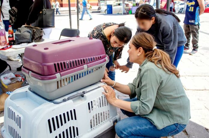 San Juan del Río será sede del “Primer Foro de Protección Animal y Ambiental”