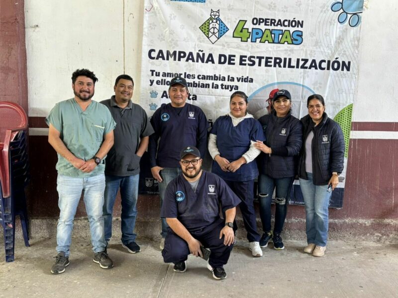 Cuidado y Protección Animal en San Juan del Río ofrece servicios gratuitos para mascotas