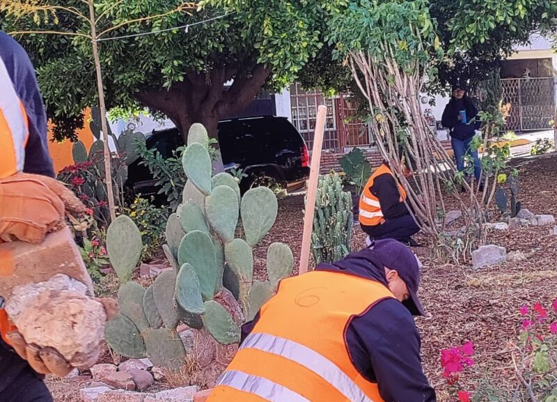 Infractores de San Juan del Río llevaron a cabo trabajos comunitarios en Lomas del Pedregal