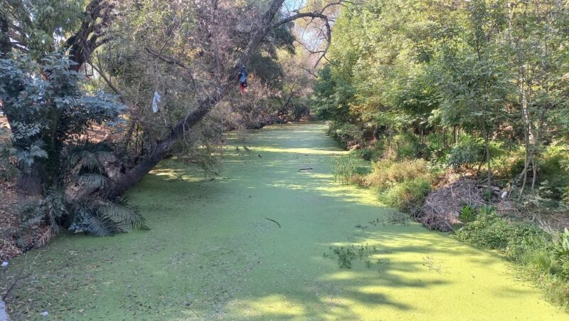 Inicia limpieza del río San Juan el 14 de febrero; dignificarán espacios municipales