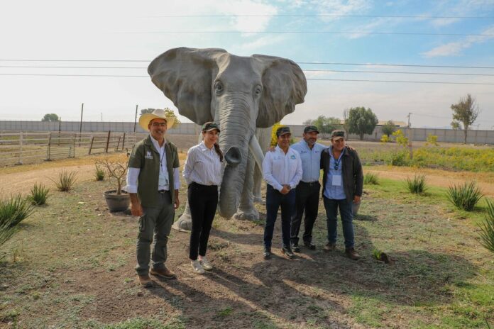 Proyectan reapertura del zoológico Wamerú para el 21 de marzo