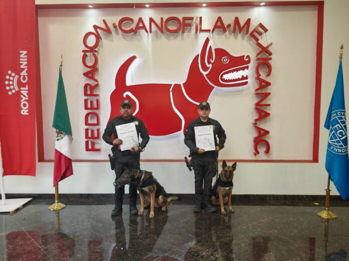 Binomios caninos de la Policía Estatal reciben reconocimiento de la Federación Canófila Mexicana