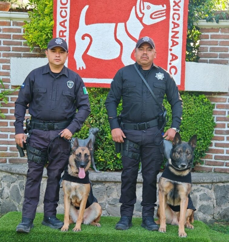 Binomios caninos de la Policía Estatal reciben reconocimiento de la Federación Canófila Mexicana