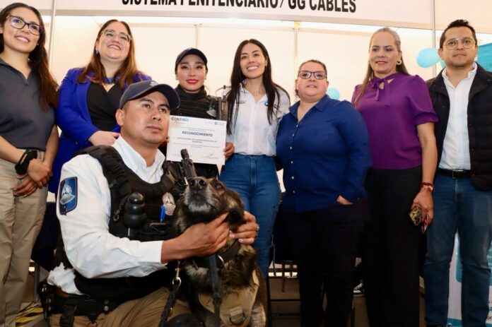 Más de 700 vacantes fueron ofertadas en la Feria de Empleo para Mujeres en SJR